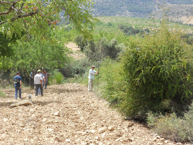 Medición de Fincas, Predios, Parcelas y todo tipo de inmuebles